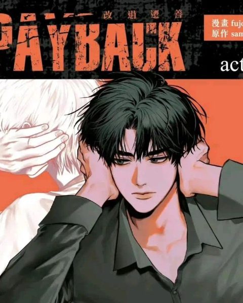 偿还payback