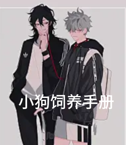 小狗饲养手册